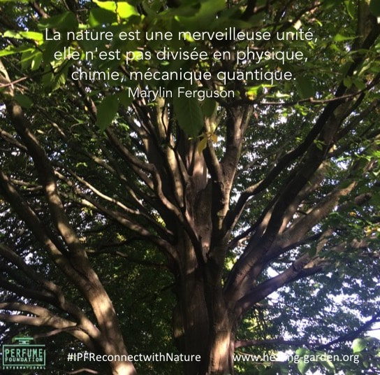 Nature Quote