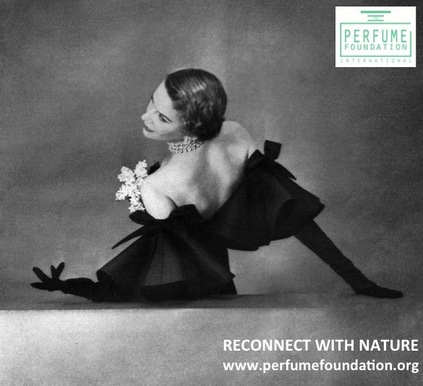 Natural Perfumery Campaign Free Content 