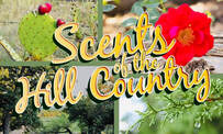 Scents of the Hill Country