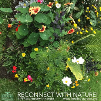 Reconnect with Nature Campaign