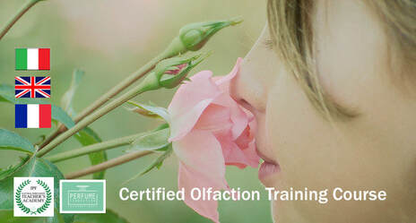 Certified Olfaction Training Course