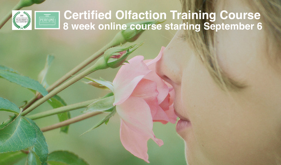 Follow a 8 week online course. Olfaction Training