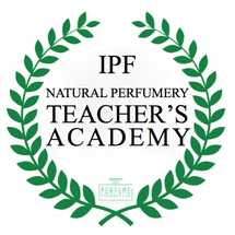 Teacher's Academy Logo